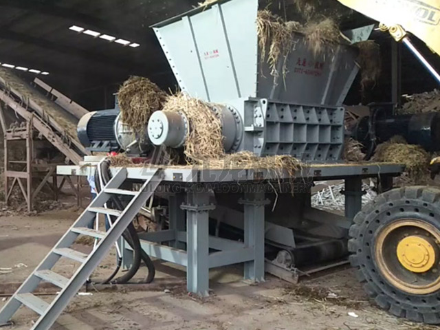 郎溪理昂稻草撕碎現(xiàn)場(chǎng)